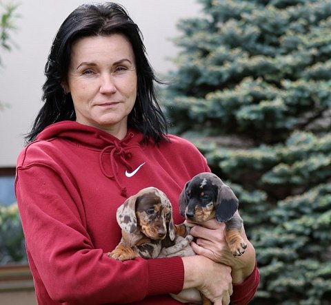 Sie fragen sich, wer wir sind?