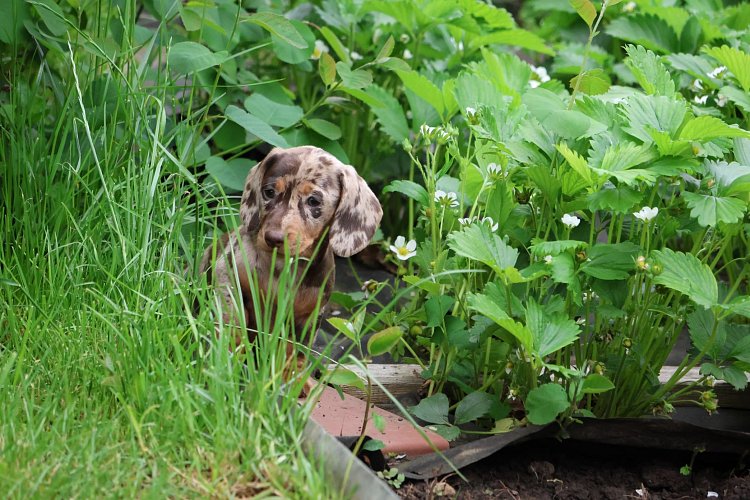Quelles sont les questions fréquemment posées ?