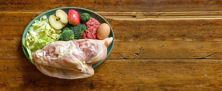 Womit füttern wir die Hunde?