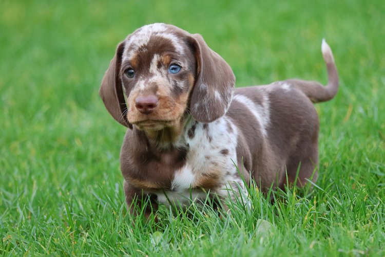 Ankunft im neuen Heim