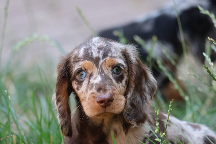 6e17606a-8284-4a6f-8582-646e5ae8dab6.jpeg